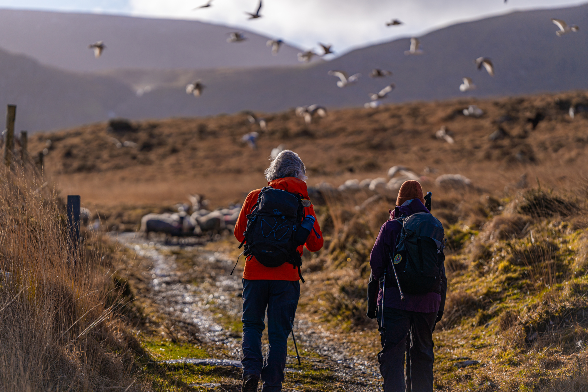 Loch A Duin with birds
